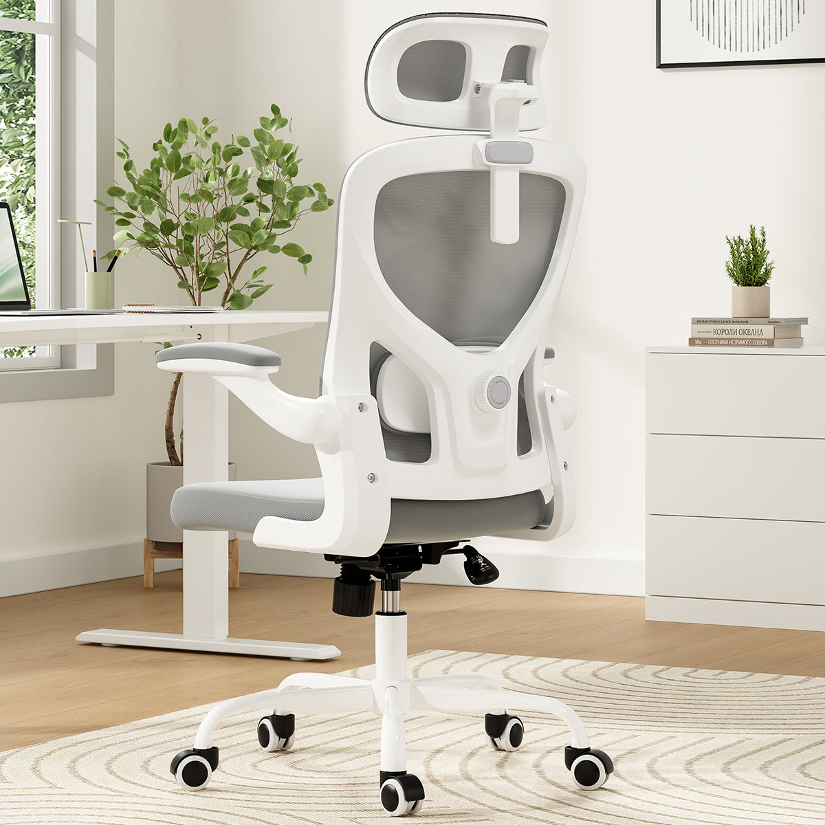 Ergonomic Office Chair for Home Office Study Room