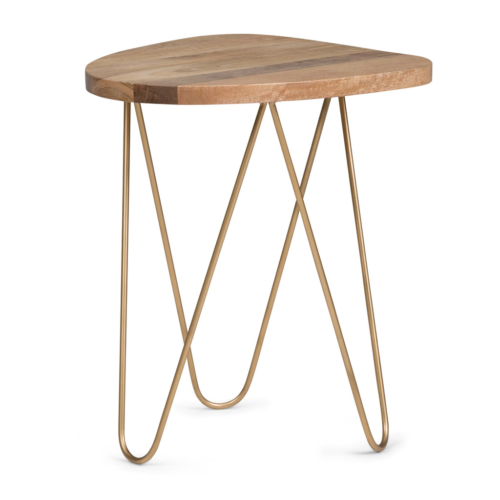 Patrice 18 Inch Wide Metal and Solid Mango Wood Accent Table