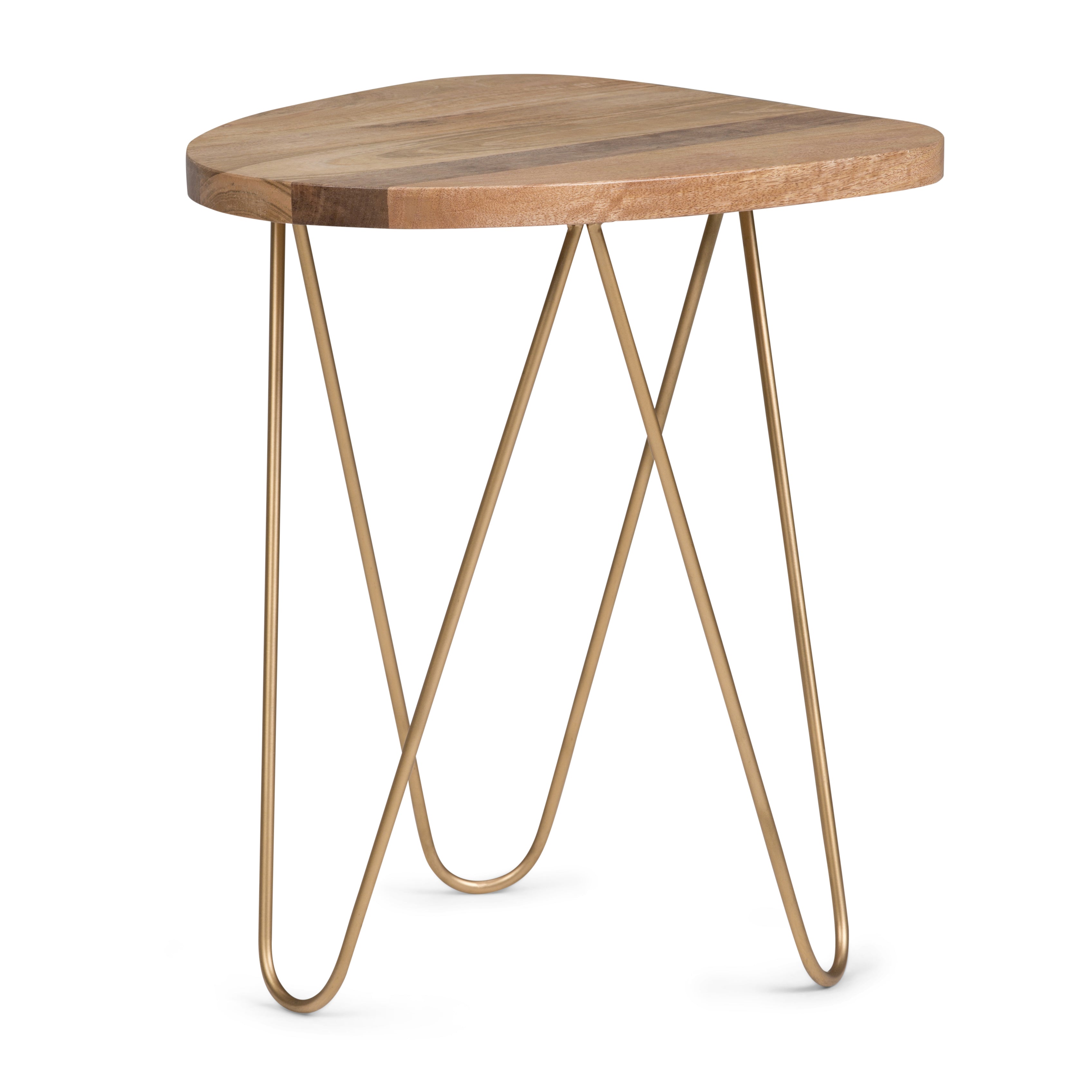Patrice 18 Inch Wide Metal and Solid Mango Wood Accent Table