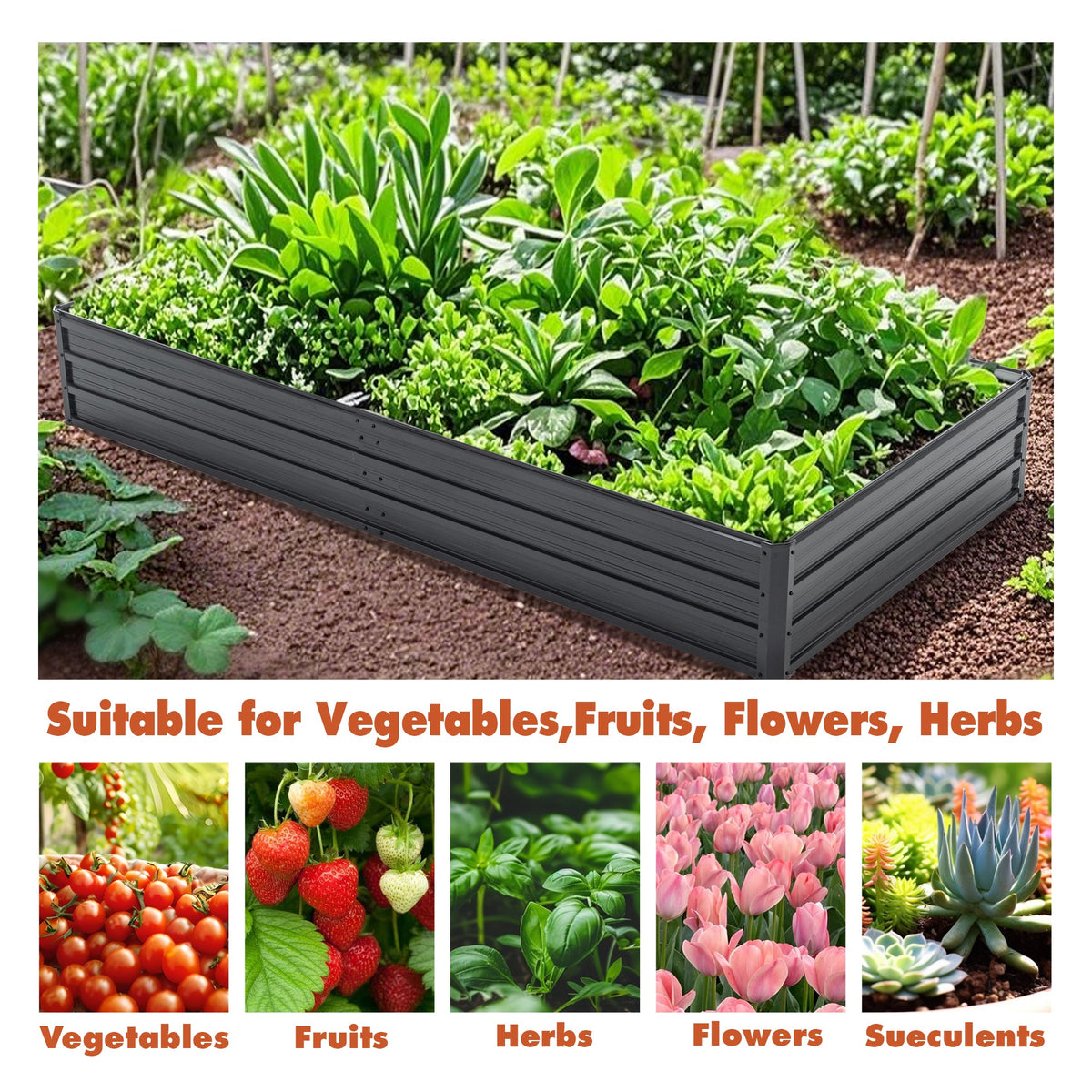 Galvanized Raised Garden Beds Outdoor - 8x4x1 ft Planter Box