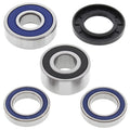 All Balls Racing Wheel Bearing Kit 25-1383