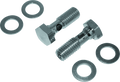 Bikers Choice Breather Bolts Kit-Evo Bg Twin 482866