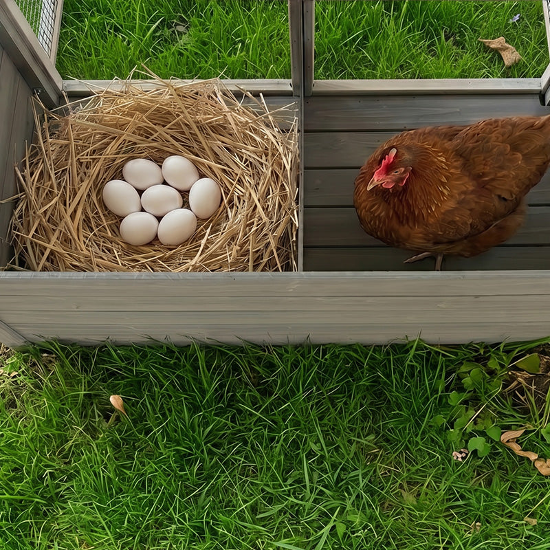 Large Wooden Chicken Coop with Nesting Box