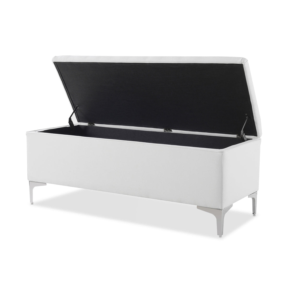 Madelyn 49" Modern Storage Bench, Bright