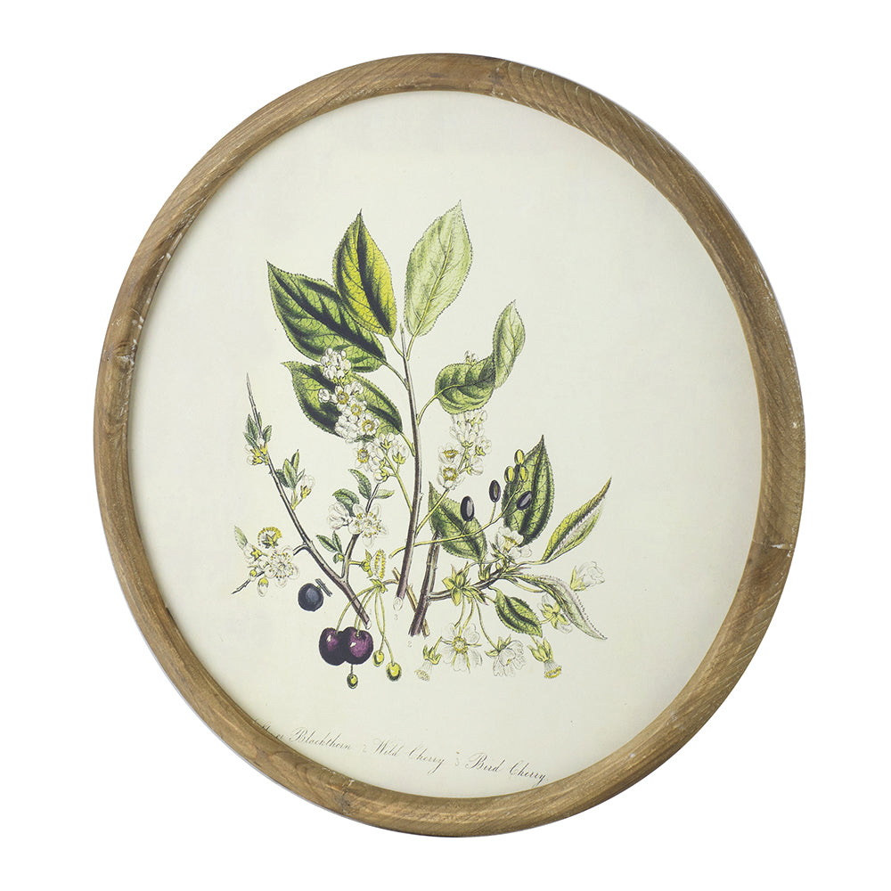 Flora Print Round Frame Set of 4
