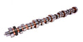 Comp Cams Camshaft, FF XR270HR-10
