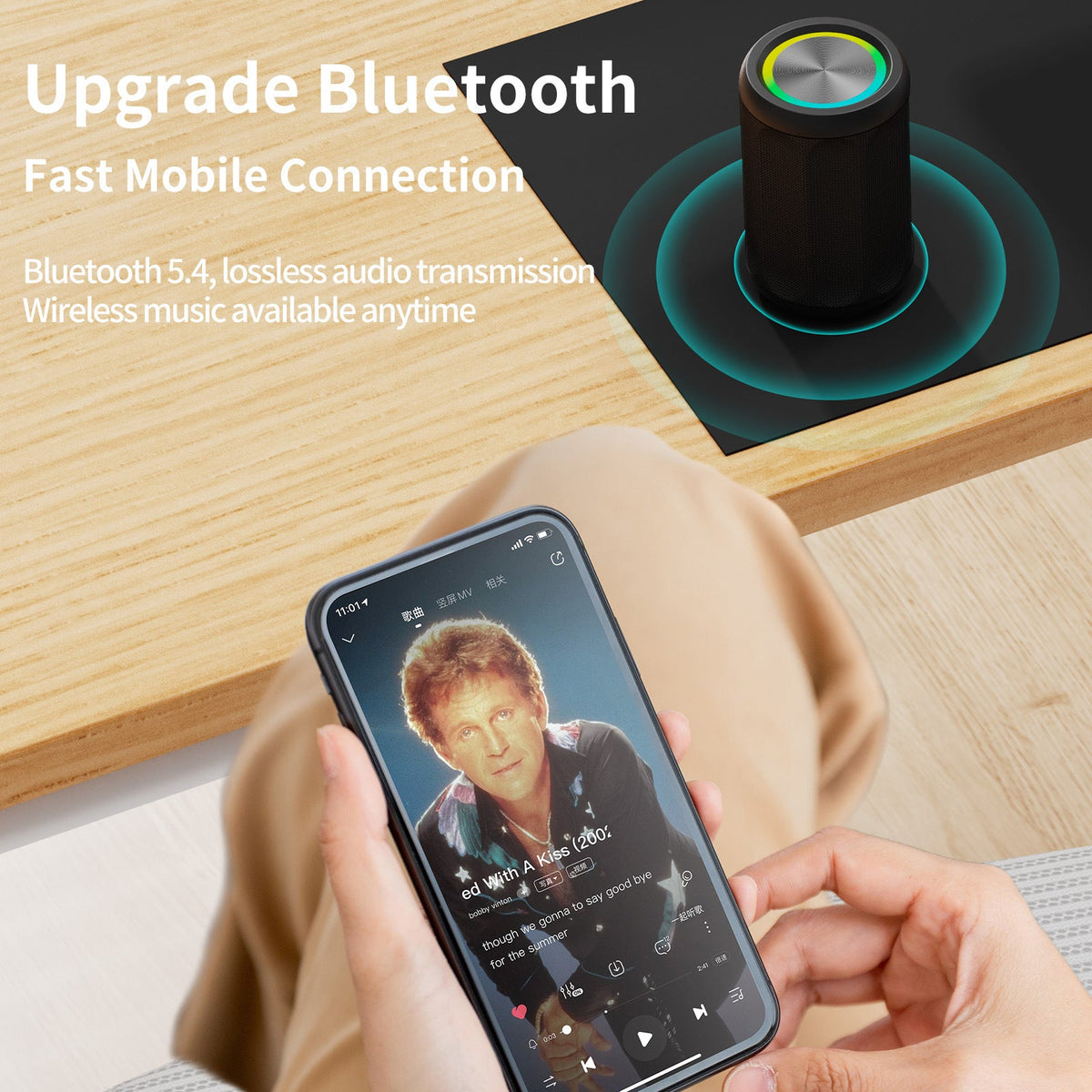 Portable Home Subwoofer Speaker For Outdoor Use