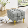 22 Inch Anti-Scratch Leather Storage Ottoman
