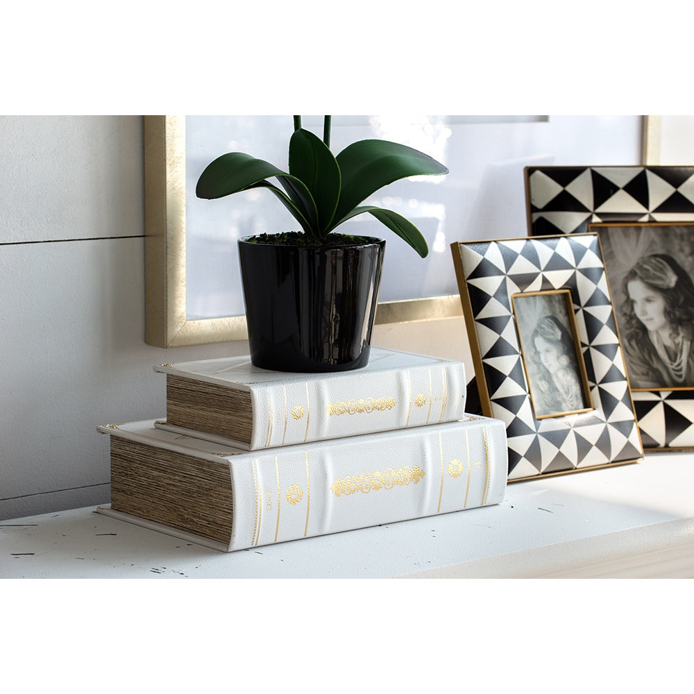 Set of 2 Botanical Green and White Book Boxes