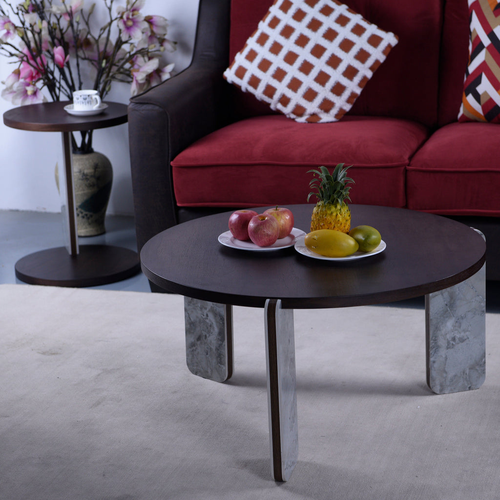 Modern Coffee Table with End Table Set