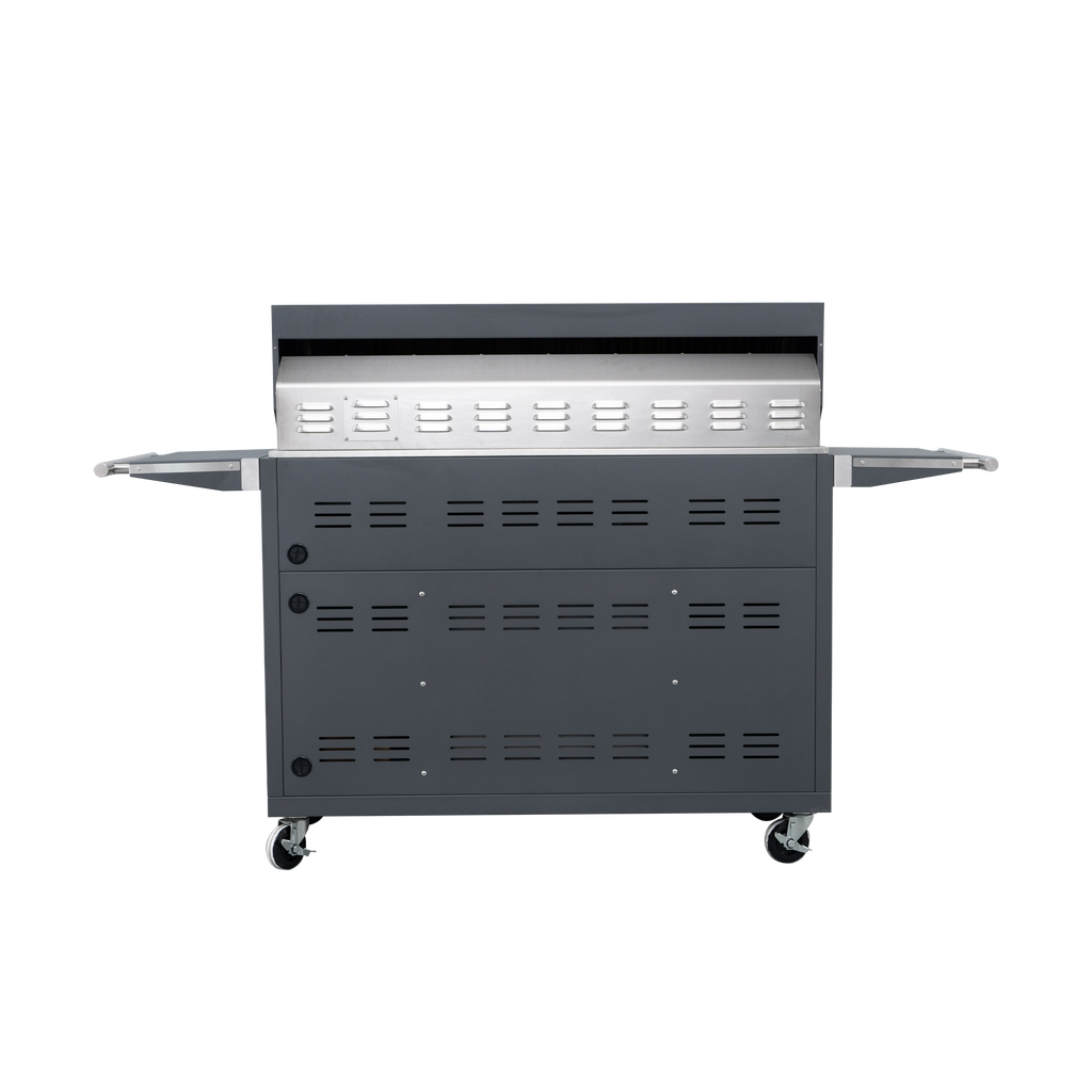 Grey Painting LPG 49'' Stainless Steel Standard Grill