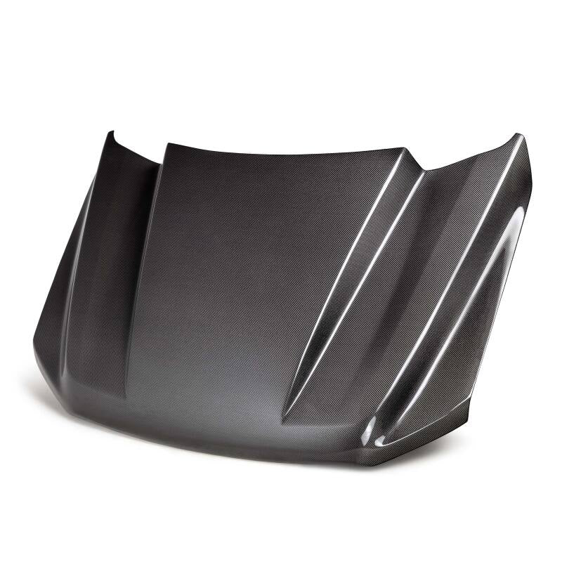 Anderson Composites 21-24 Ford F-150 Type-CJ Carbon Fiber Hood AC-HD21FDF150-CJ