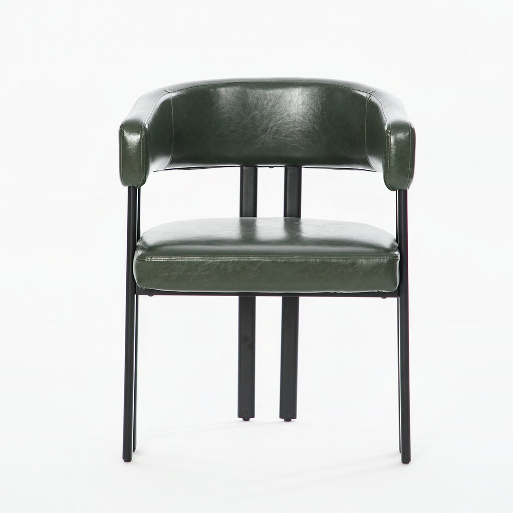 Modern Dining Chairs Set of 2