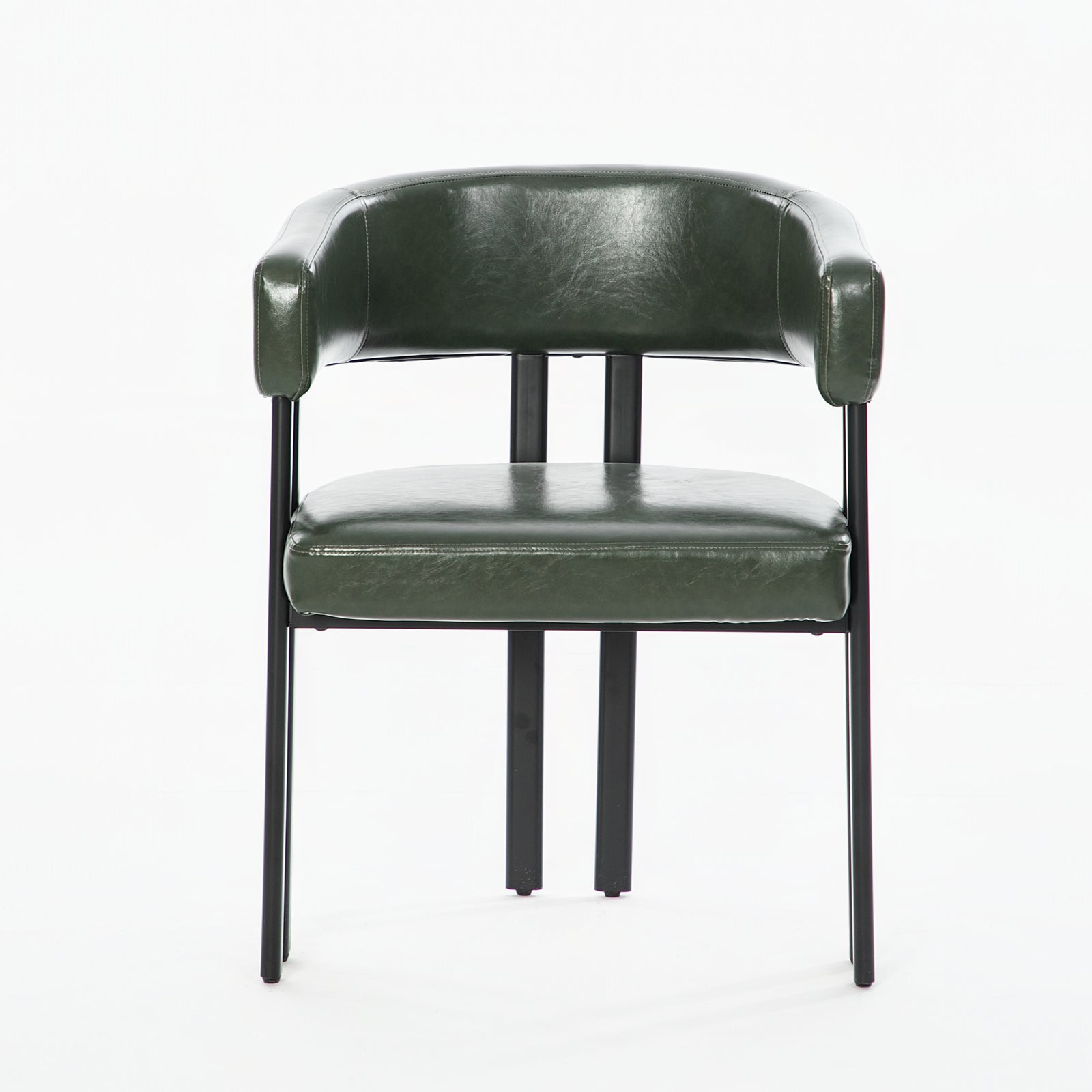 Modern Dining Chairs Set of 2