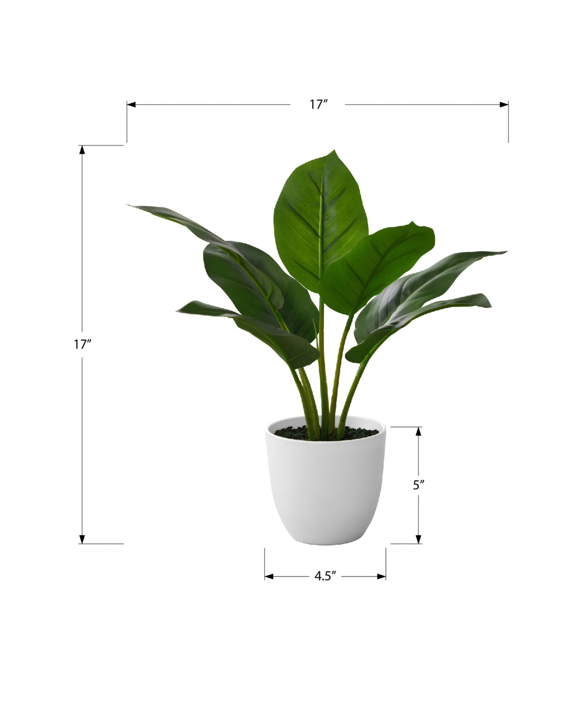 Artificial Plant - 17" Tall Aureum - Indoor Faux Greenery