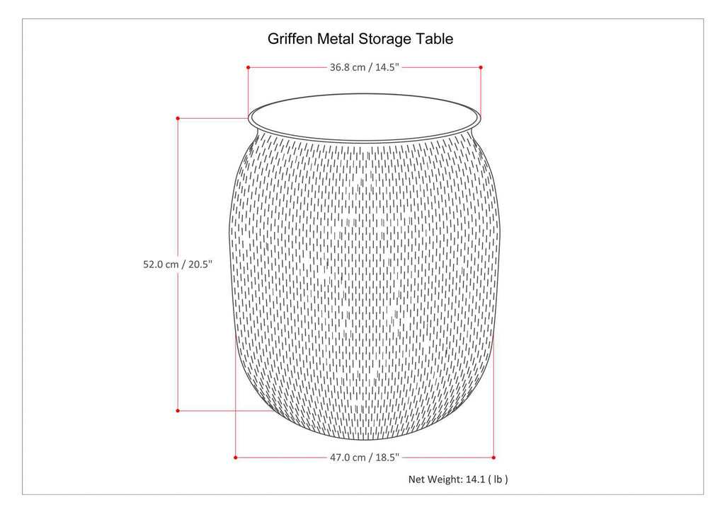 Griffen 19 Inch Wide Metal Storage Accent Table