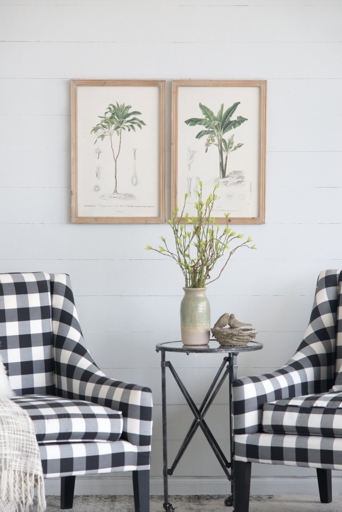 Set of 2 Tree Framed Prints