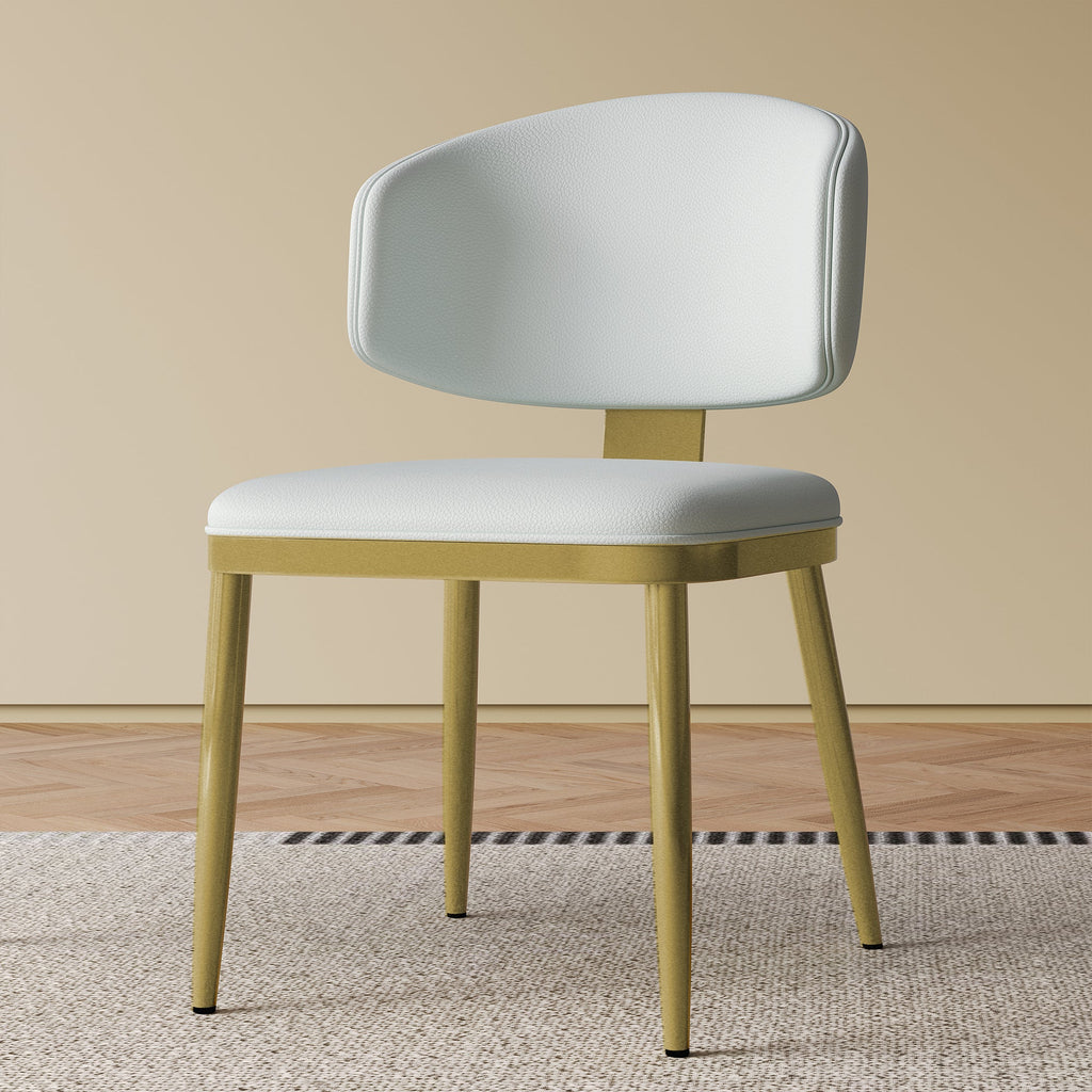 Dining Chairs Set of 2 in Modern Design