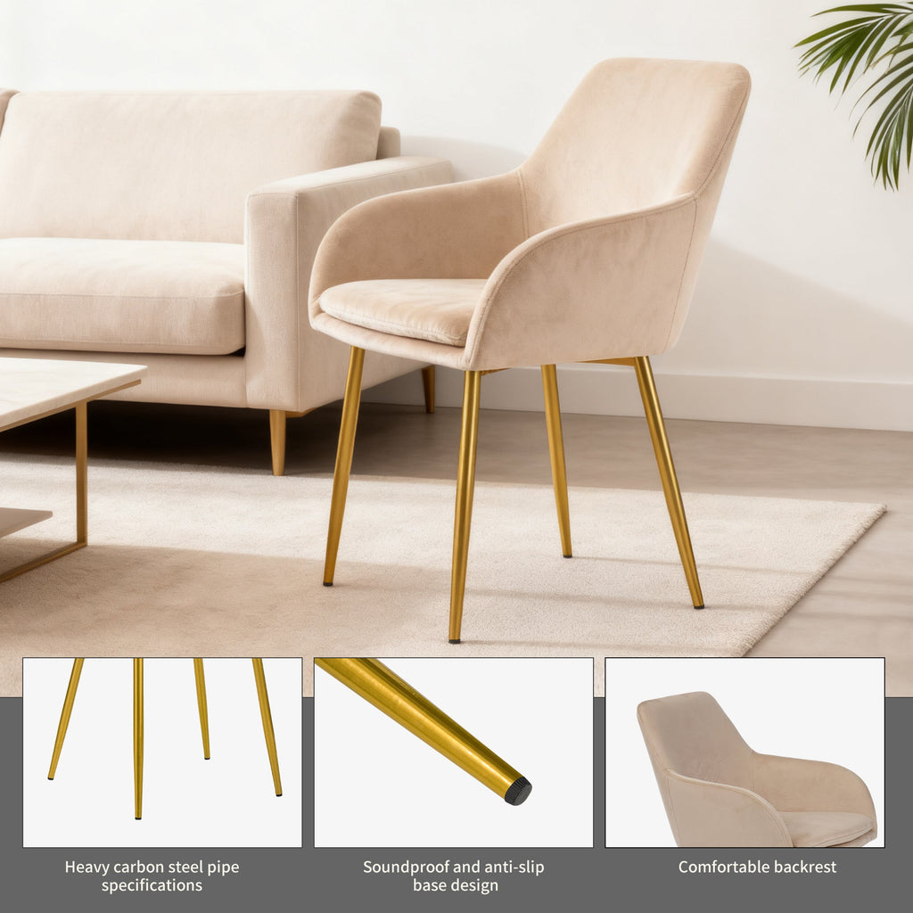 Velvet Dining Chair Set - 2 Pieces