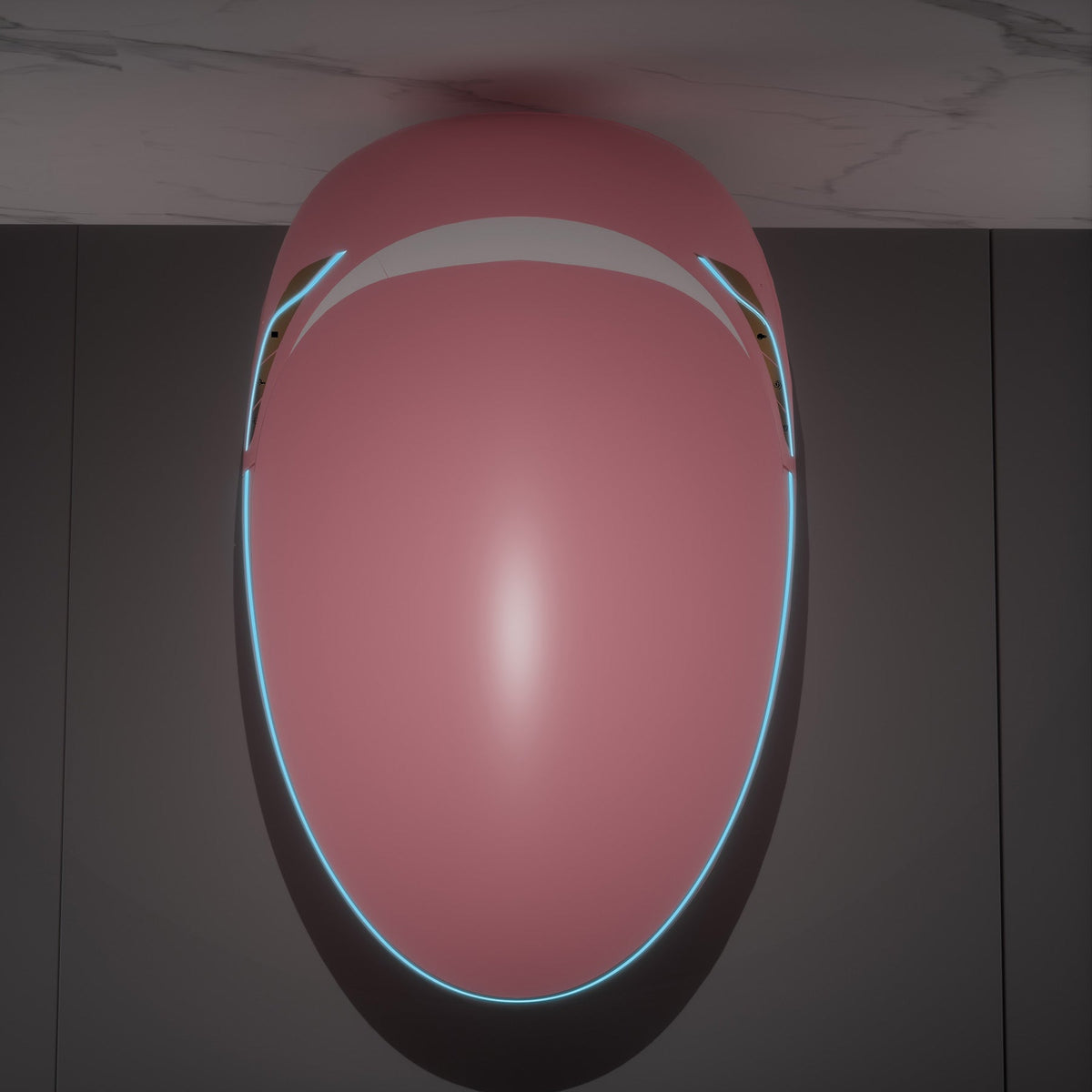 Unique Smart Toilet with Bidet Built In