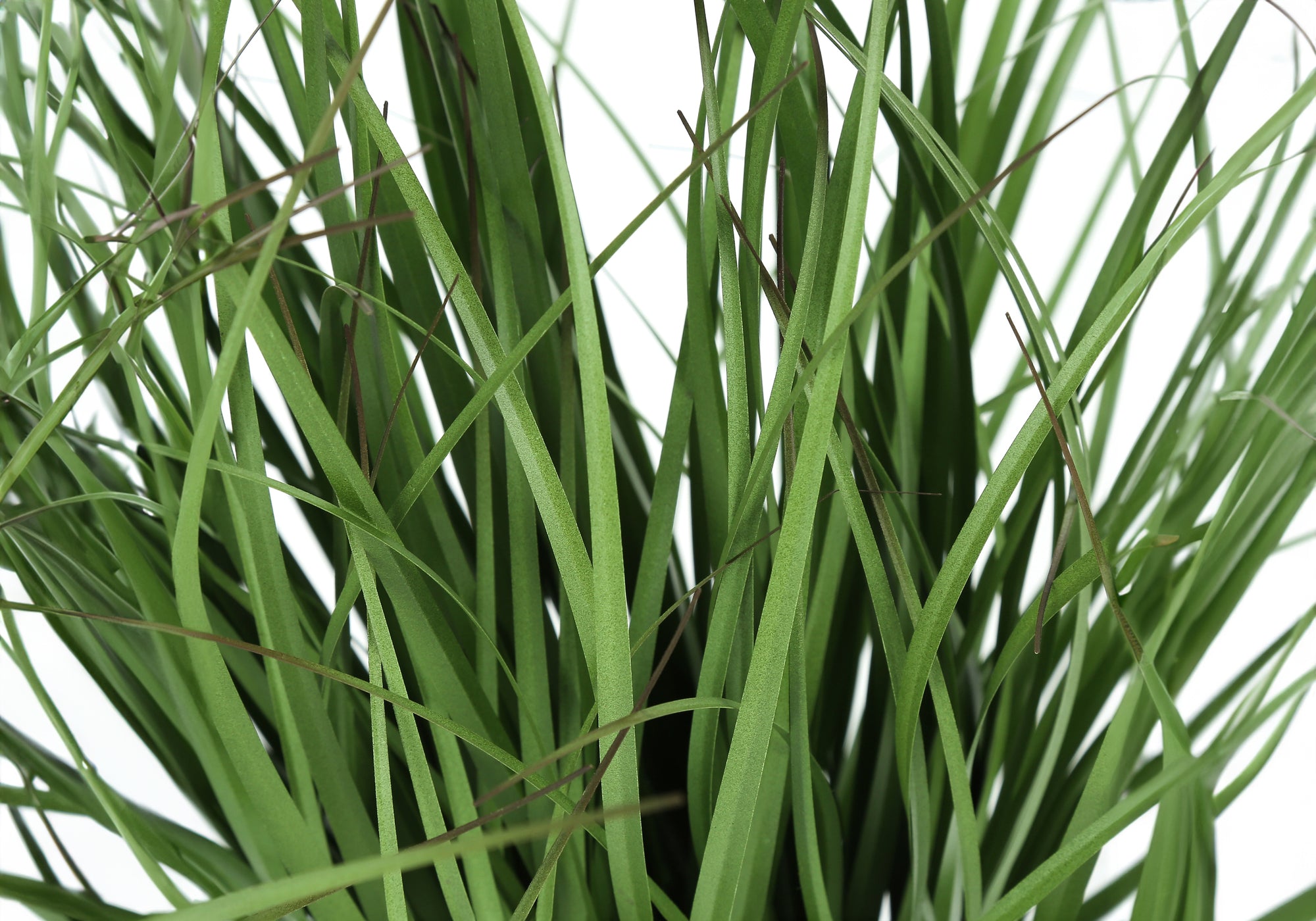 23" Tall Artificial Grass Plant