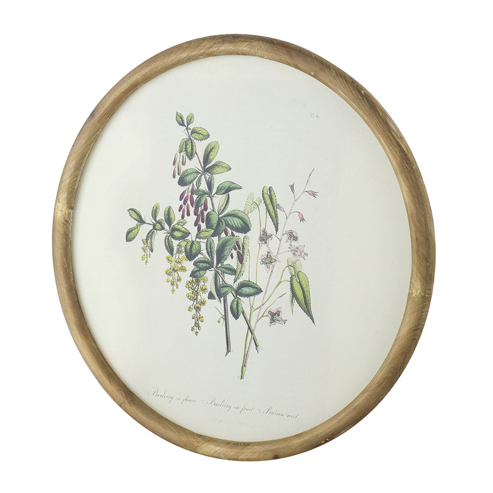 Flora Print Round Frame Set of 4
