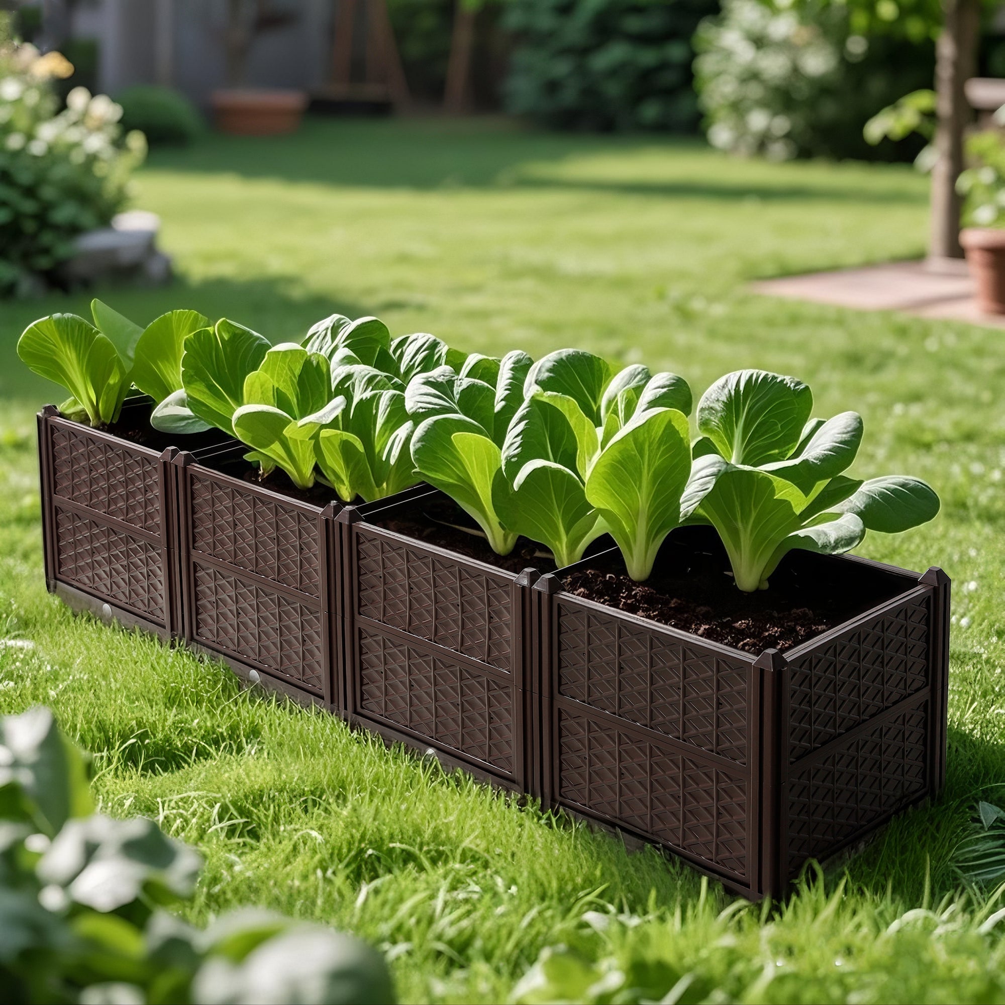 Indoor and Outdoor Rectangular Plastic Planting Box