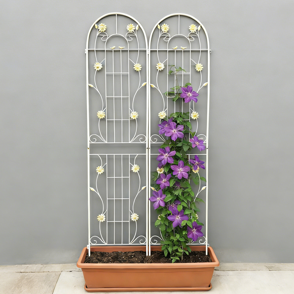 2 Pack Metal Garden Trellis for Climbing Plants