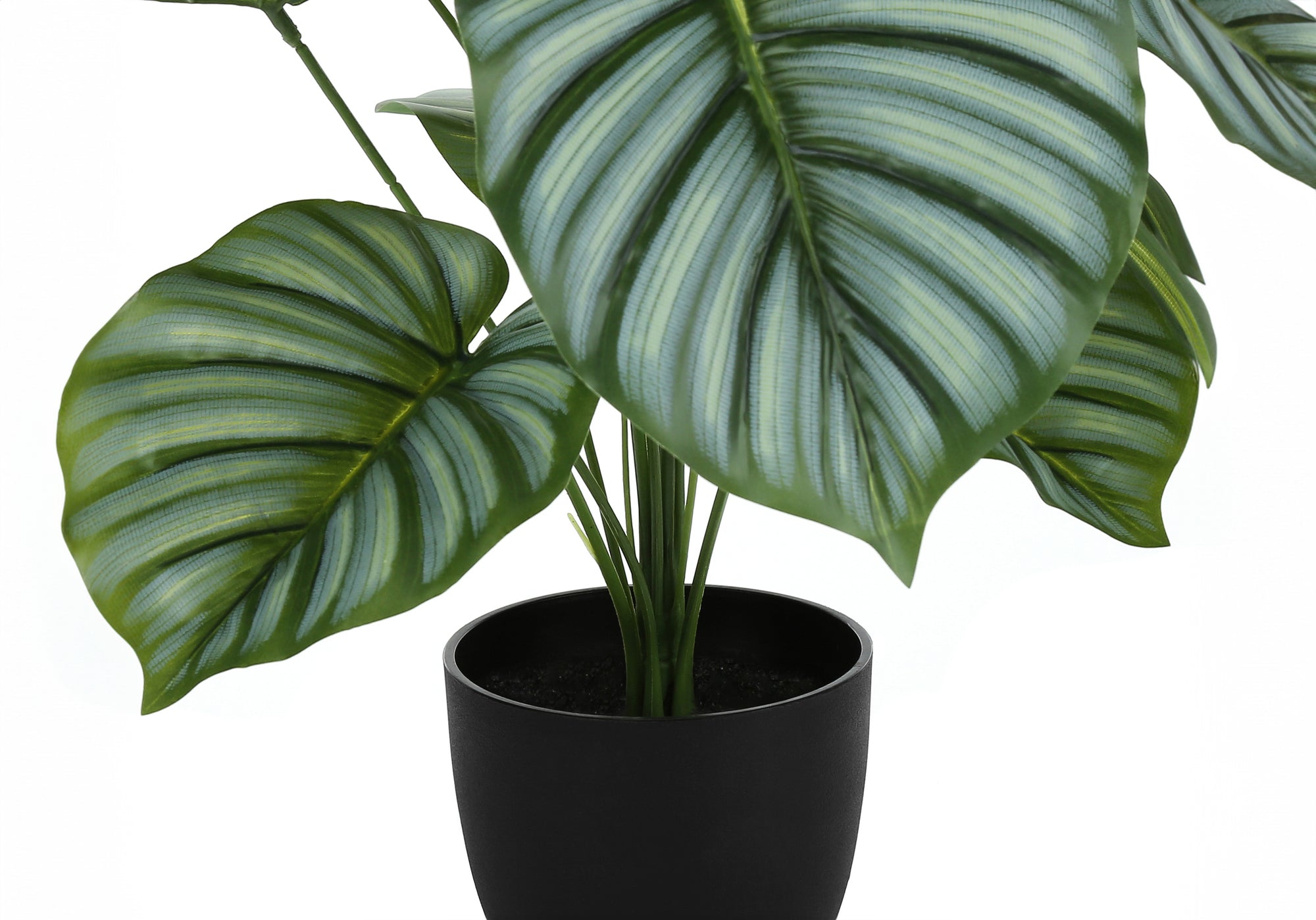 Artificial 24" Tall Calathea Plant