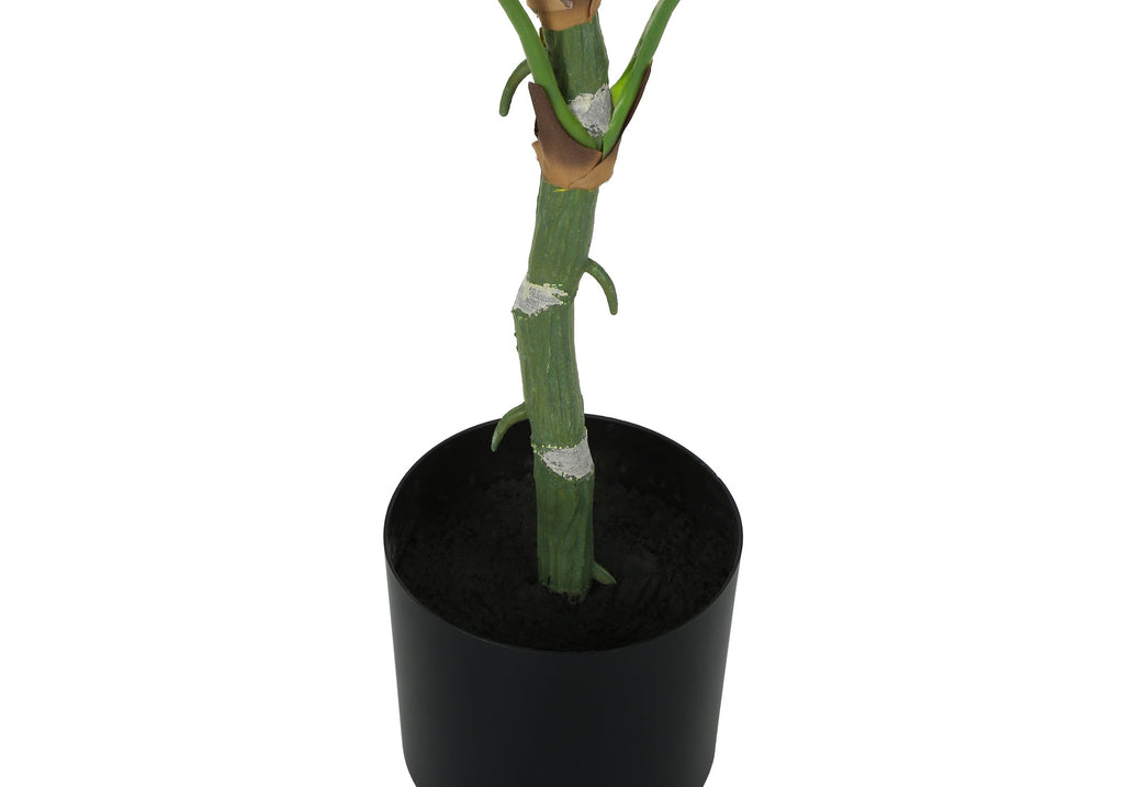 Artificial Dieffenbachia Tree - 54" Tall Faux Indoor Plant