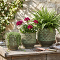 S/3 Textured Garden Pots & Planters