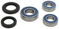 All Balls Racing 18-21 BMW G310GS Wheel Bearing Kit Rear 25-1810