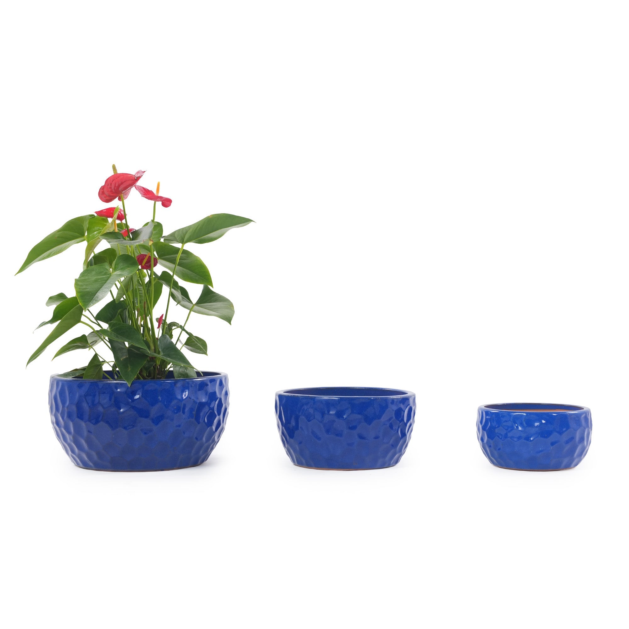 Handmade Ceramic Planter Set of 3 - Cobalt