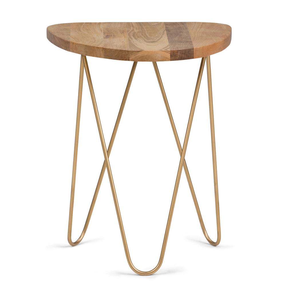 Patrice 18 Inch Wide Metal and Solid Mango Wood Accent Table