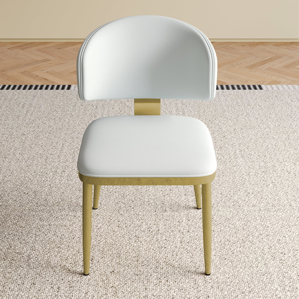 Dining Chairs Set of 2 in Modern Design