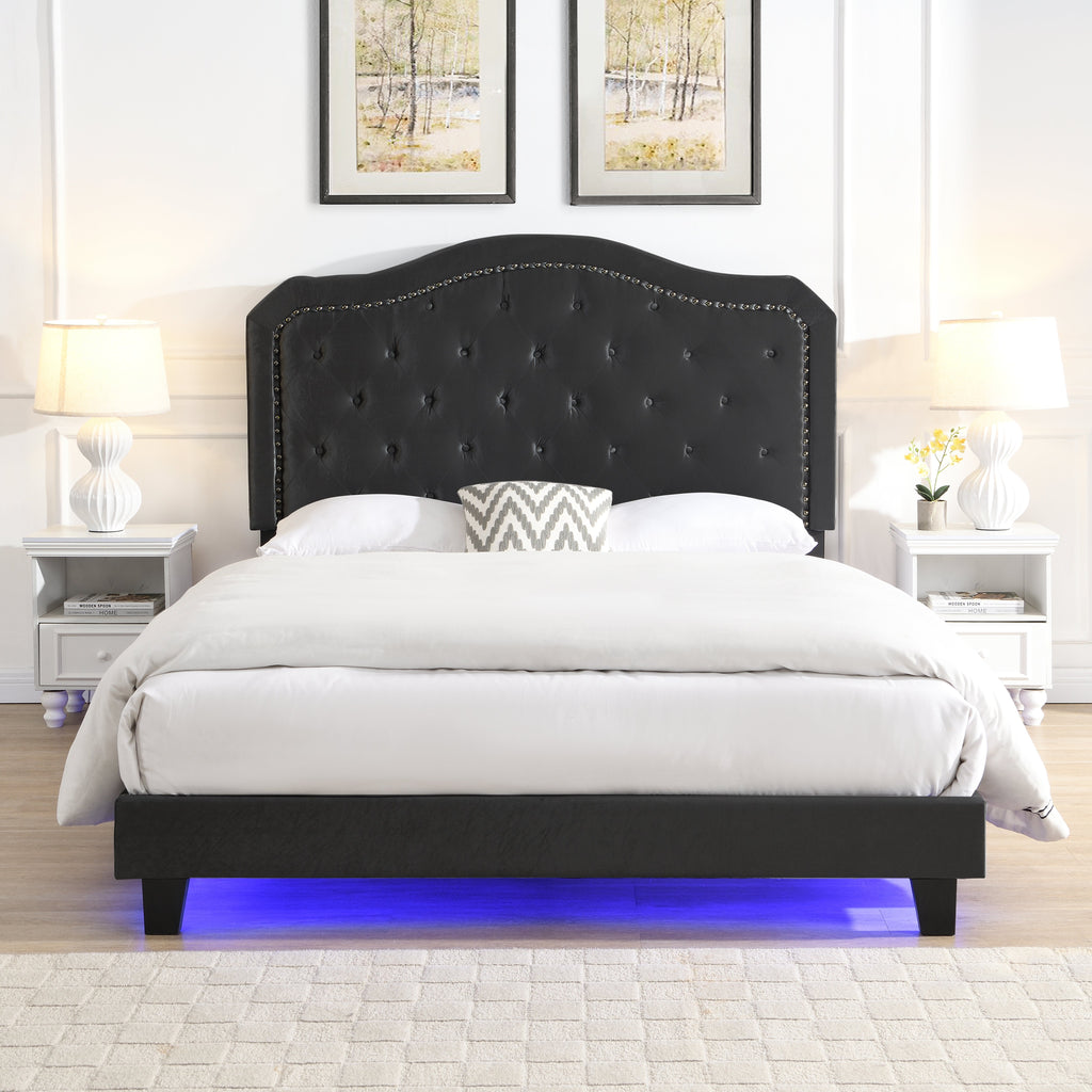 Upholstered Bed Button Tufted with Curve Design