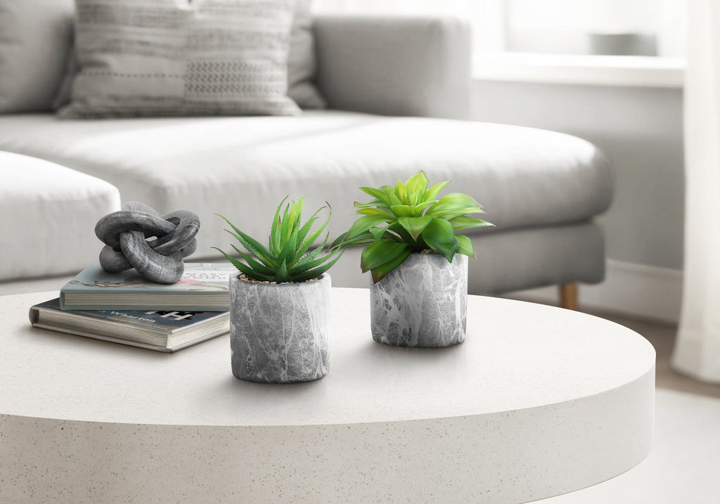 Artificial Plant Set of 2 - Indoor Succulent