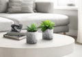 Artificial Plant Set of 2 - Indoor Succulent