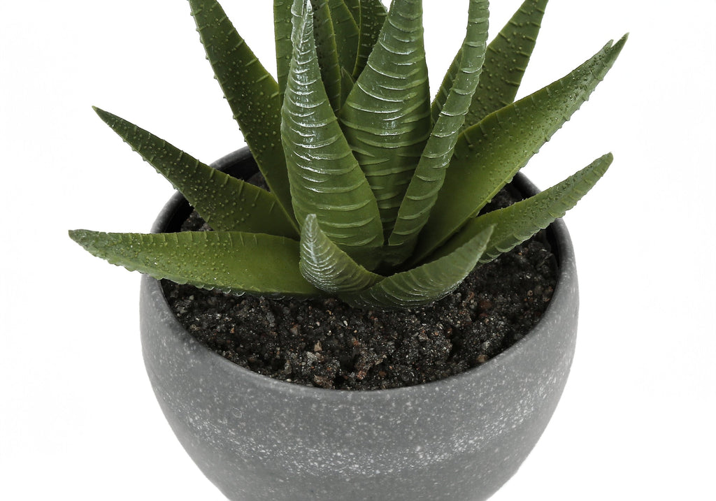 Artificial Succulent Plant Set of 3