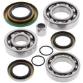 All Balls Racing 11-15 Can-Am Outl&er 400 STD 4x4 Differential Bearing & Seal Kit Rear 25-2086