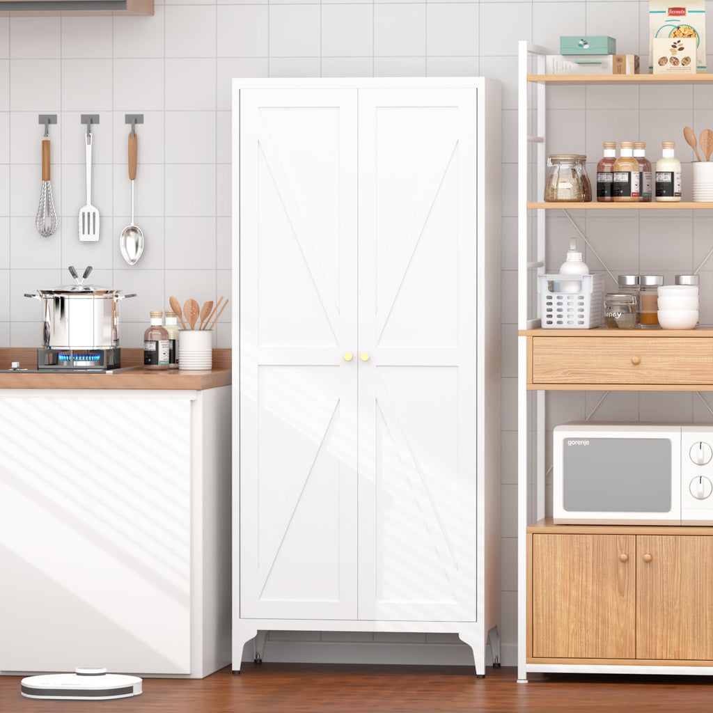 Metal Adjustable 2 Doors Storage Cabinet