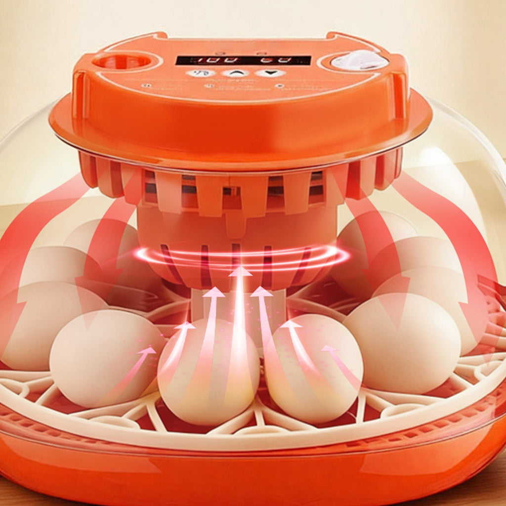 12 Egg Incubator with Automatic Egg Turner