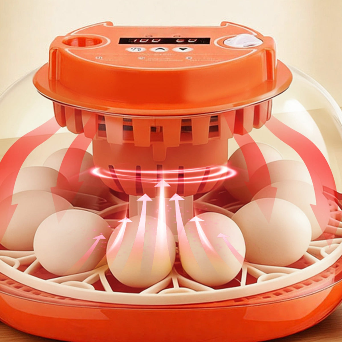 12 Egg Incubator with Automatic Egg Turner