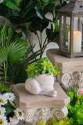 Decorative Planter with Snail Design