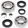All Balls Racing 00-02 Polaris Xplorer 250 4x4 Differential Bearing & Seal Kit Front 25-2054