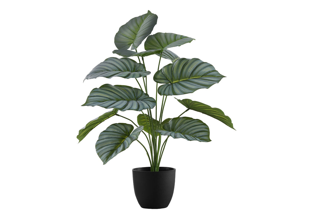 Artificial 24" Tall Calathea Plant