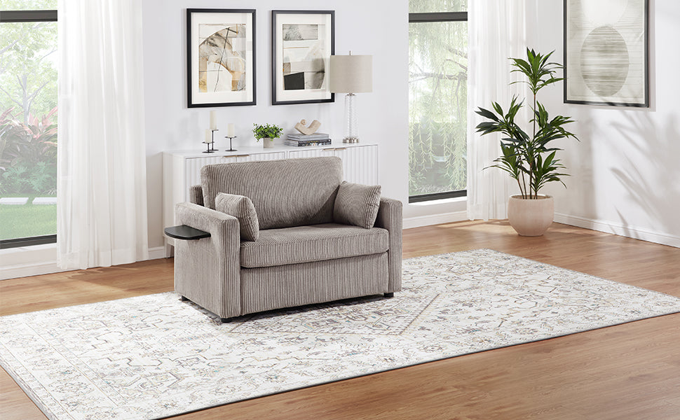 Twin Size Sofa Bed with USB Ports