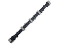Comp Cams Camshaft, CS 275DEH-10