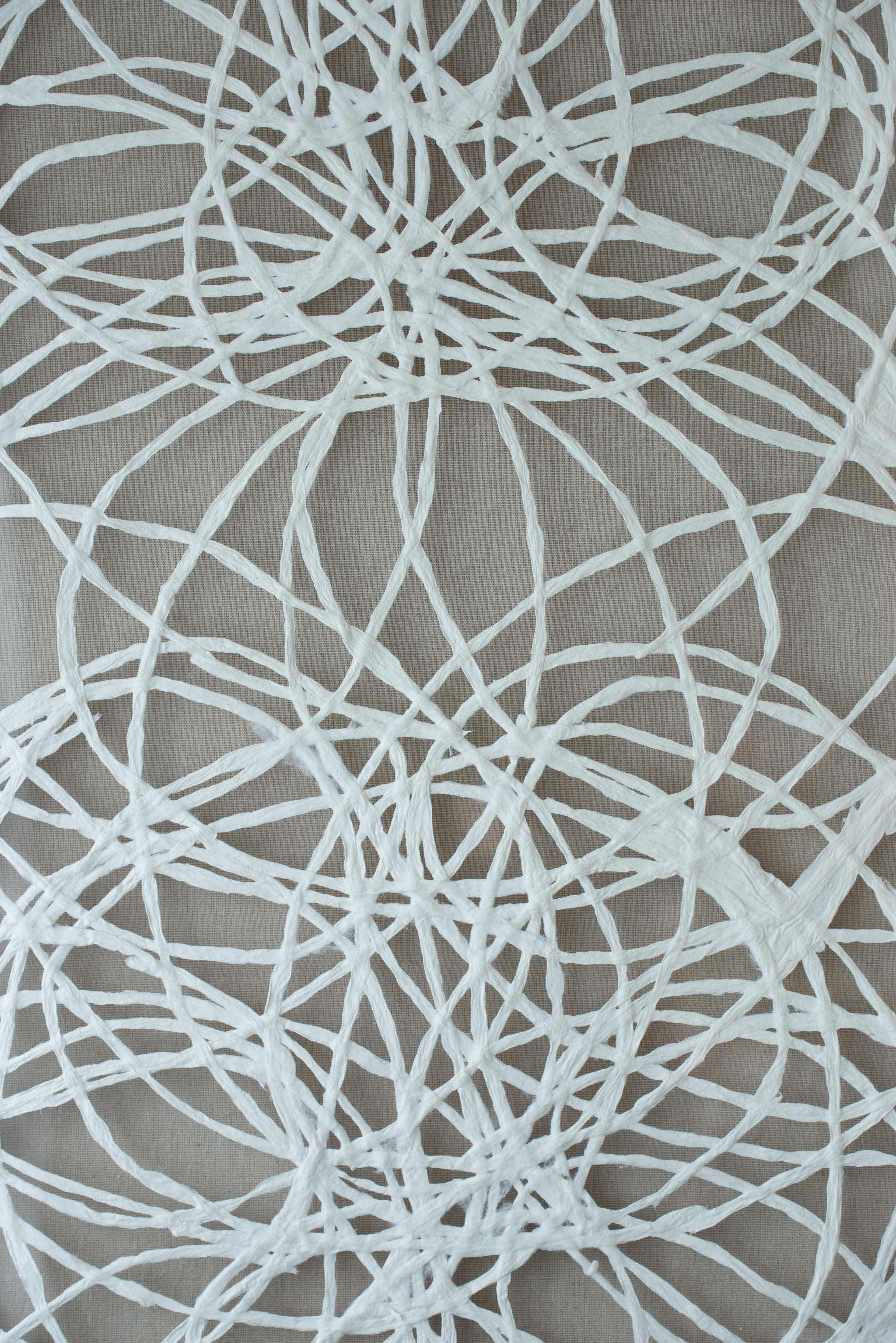S/2 Leaf Shadow Box Wall Décor