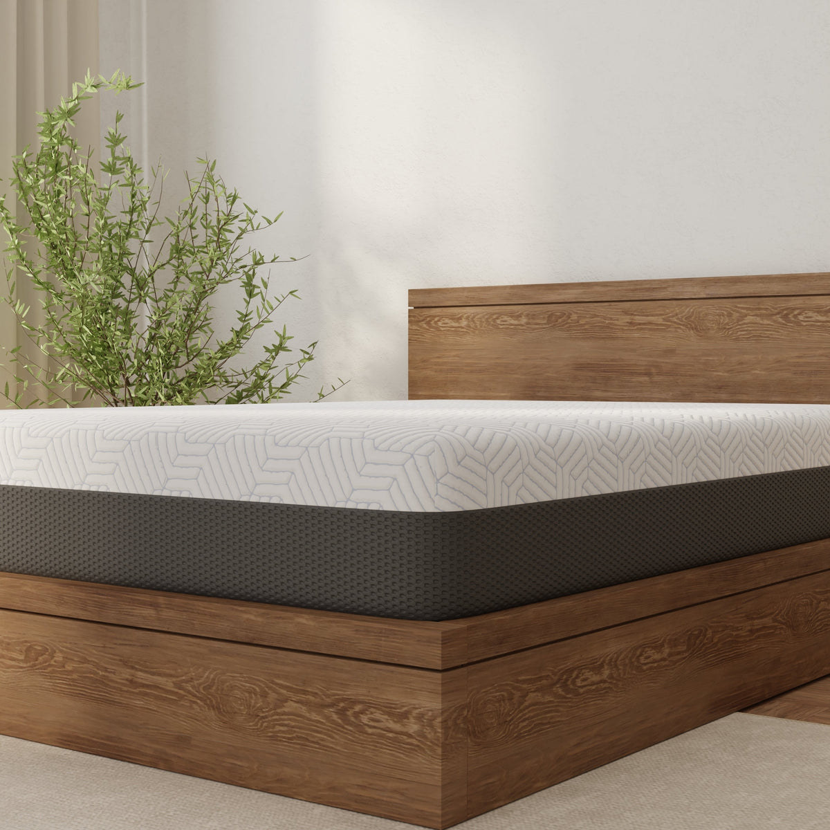 Omne Fria 12 Inch Queen Soft Mattress With Cooling Cover